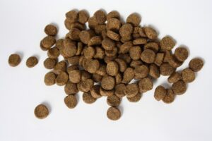 Croquettes pour chien