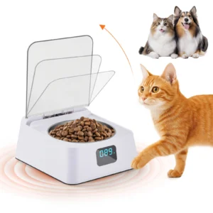 Distributeur automatique de nourriture humide pour chat avec bol de