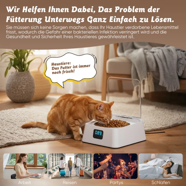 Distributeur automatique de nourriture humide pour chat avec bol de - vue 6