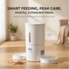 ZYfeede 4,2 L - Distributeur automatique de nourriture pour animaux à double bol